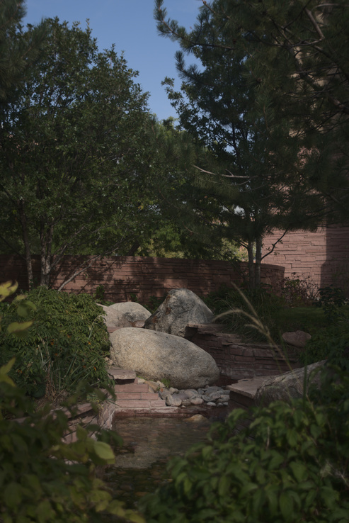 Idylic outdoor garden